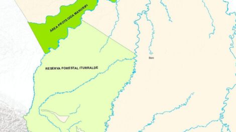 Suspensión de actividad minera ilegal en reservas Manuripi e Iturralde
