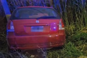 Atropello y muerte de niña en Argentina