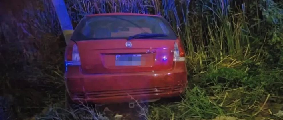 Atropello y muerte de niña en Argentina