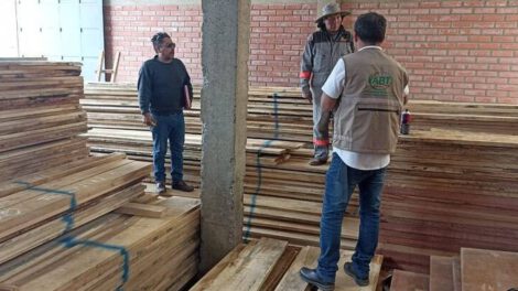Madera ilegal El Alto