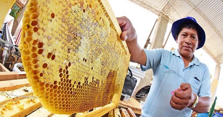 Planta procesadora de miel en Poroma