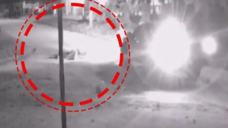 Atropello en Santa Cruz que dejó un muerto y un herido grave