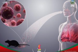 Intervención sanitaria por Hantavirus y Leptospirosis en Sedes La Paz