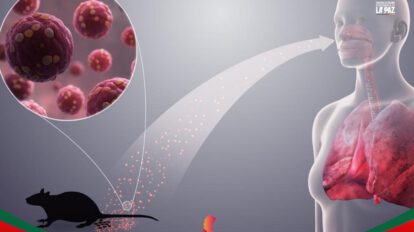 Intervención sanitaria por Hantavirus y Leptospirosis en Sedes La Paz