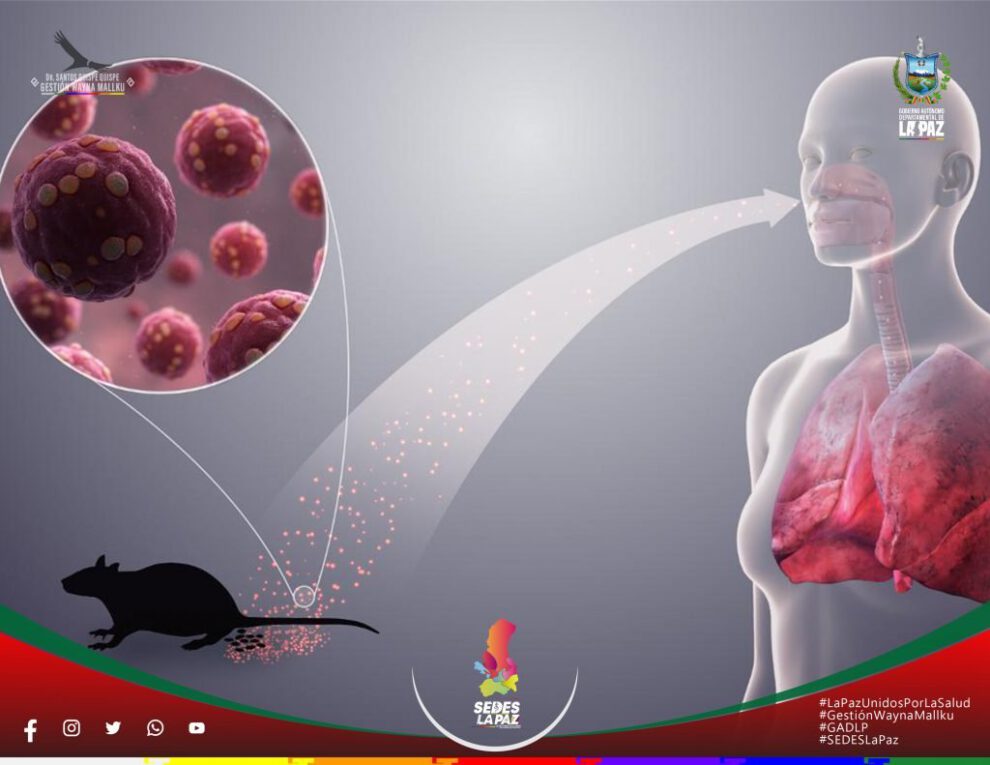 Intervención sanitaria por Hantavirus y Leptospirosis en Sedes La Paz