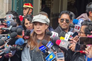 Viceministra critica decisión en el caso Loritas
