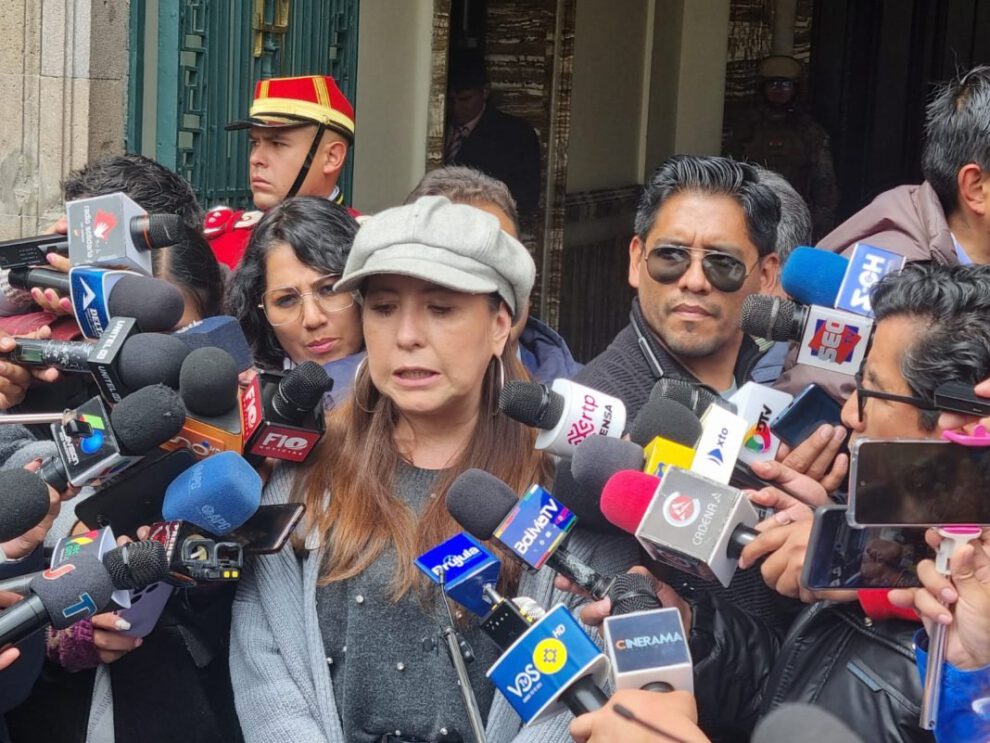 Viceministra critica decisión en el caso Loritas