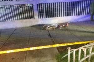 Hombre apuñalado en Sucre