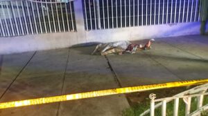 Hombre apuñalado en Sucre