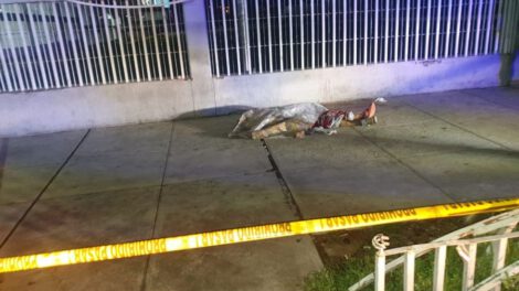 Hombre apuñalado en Sucre