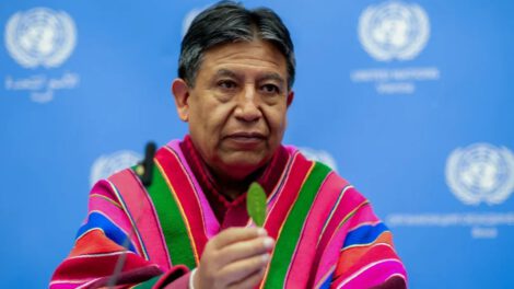 Estigmatización de la hoja de coca en la ONU