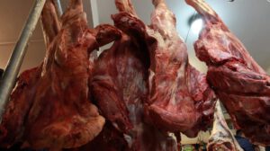 Distribución de carne de res a Bs. 34 el kilo gancho