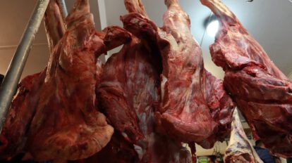 Distribución de carne de res a Bs. 34 el kilo gancho