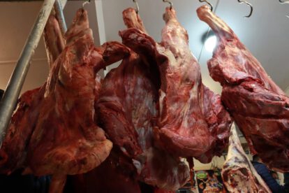 Distribución de carne de res a Bs. 34 el kilo gancho