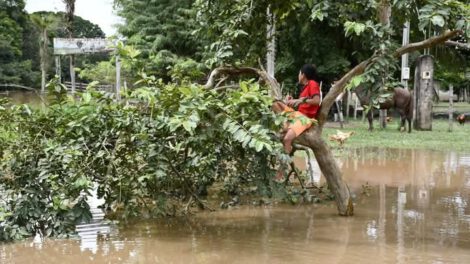 Desborde del río Beni afecta a más de 250 familias en Reyes