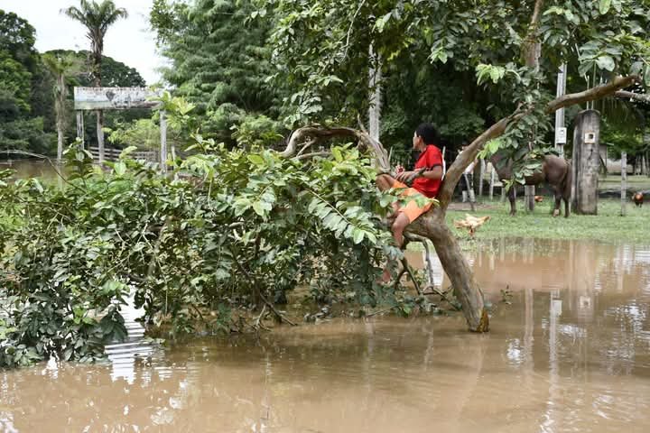 Desborde del río Beni afecta a más de 250 familias en Reyes