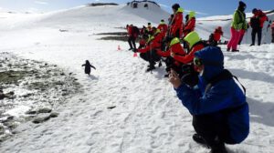 Aumento del turismo en la Antártida y su impacto en la conservación