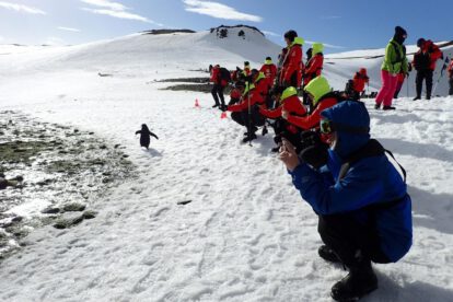 Aumento del turismo en la Antártida y su impacto en la conservación