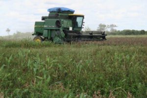 Políticas arancelarias de Trump en Bolivia