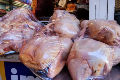 Abastecimiento de pollo en Oruro
