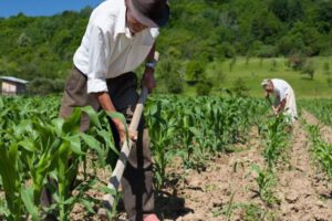 Inversión pública en sector productivo en Bolivia