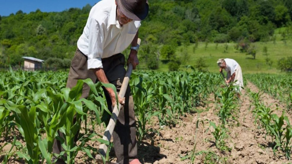 Inversión pública en sector productivo en Bolivia