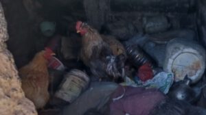 Muerte de adulta mayor en Cantumarca tras enfrentamientos por tierras