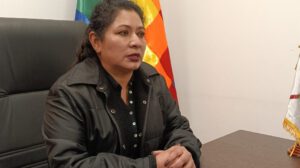 Debate obligatorio en la Comisión de Constitución