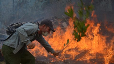 Incendio forestal en Cuba arrasa 300 hectáreas en Pinar del Río