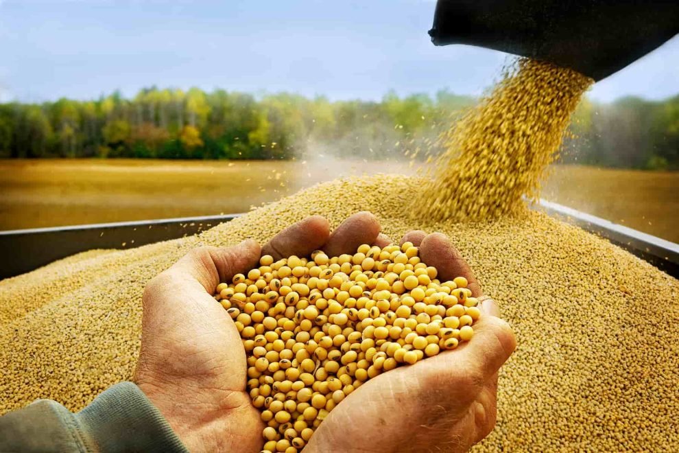 Exportación de soya y ajustes del gobierno