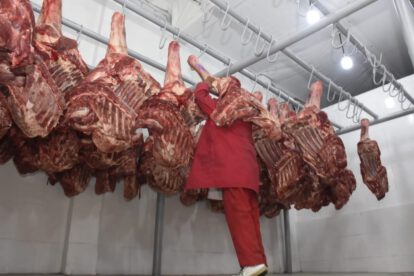 Exportación de carne y precios internos