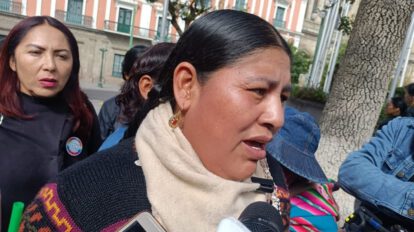 elecciones internas MAS