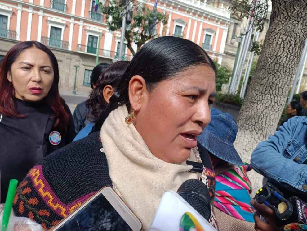 elecciones internas MAS