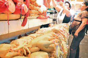 Abastecimiento de pollo en La Paz