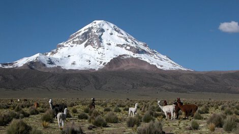Día Mundial del Agua y la protección de los glaciares bolivianos