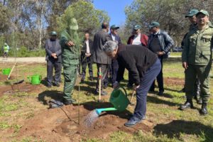Sequía en Marruecos y su impacto en los bosques urbanos