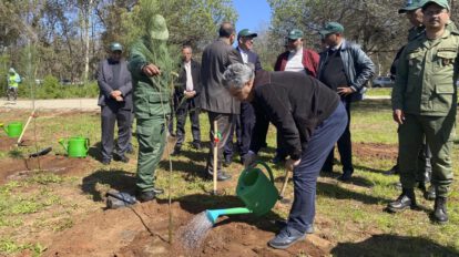 Sequía en Marruecos y su impacto en los bosques urbanos