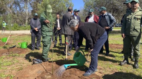 Sequía en Marruecos y su impacto en los bosques urbanos