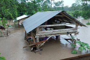 Inundaciones en el Trópico de Cochabamba