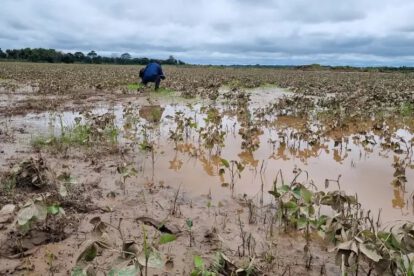 Impacto climático en cultivos