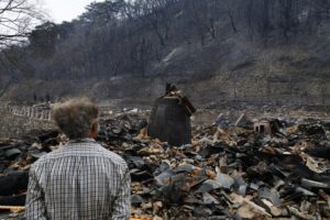 Incendios forestales en Corea del Sur han dejado al menos 27 muertos