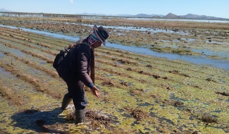 Lluvias afectan cultivos en Bolivia