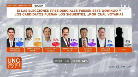 Encuesta de intención de voto para las elecciones generales en agosto