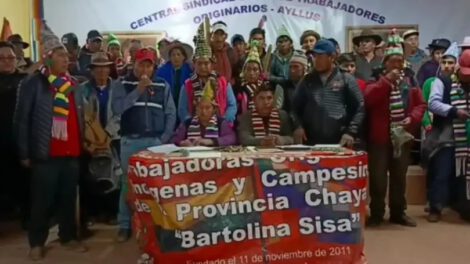 Candidatura presidencial Del Castillo proclamada por militantes del MAS