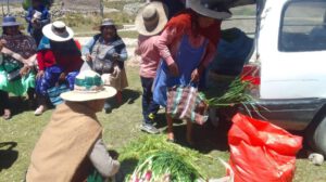 Gastronomía y arte indígena en la feria de aniversario de Jalsuri