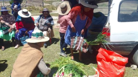 Gastronomía y arte indígena en la feria de aniversario de Jalsuri