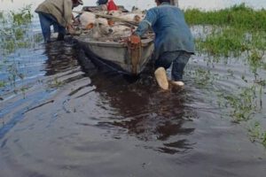 Emergencia en Moxos por desborde de ríos afecta a 360.000 reses