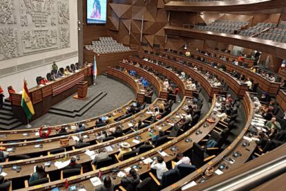 Asamblea Legislativa Plurinacional discute crédito de Japón