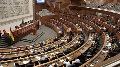 Asamblea Legislativa Plurinacional discute crédito de Japón