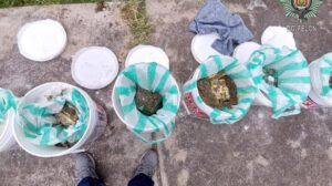 Operativo encuentra clorhidrato de cocaína en Potosí-Tarija